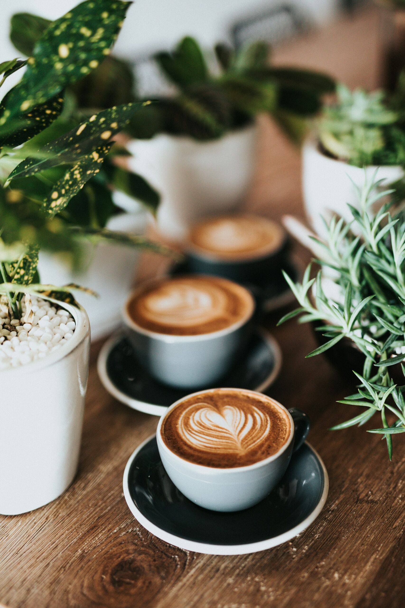 Mehr über den Artikel erfahren Die besten Cafés in Hockenheim: Wo sich eine Kaffeepause wirklich lohnt